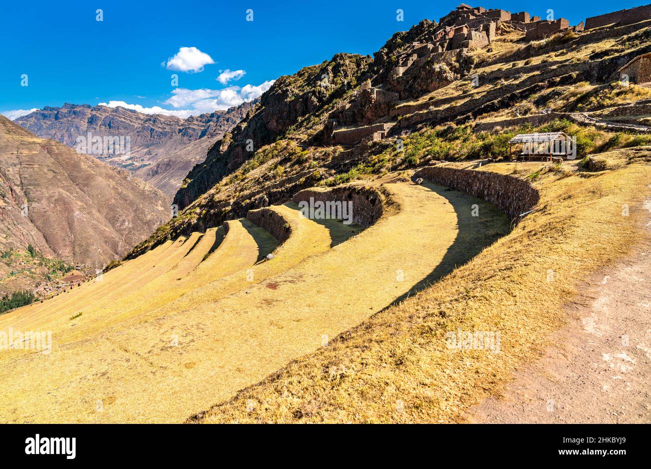 Terrasses Inca à Pisac au Pérou Banque D'Images