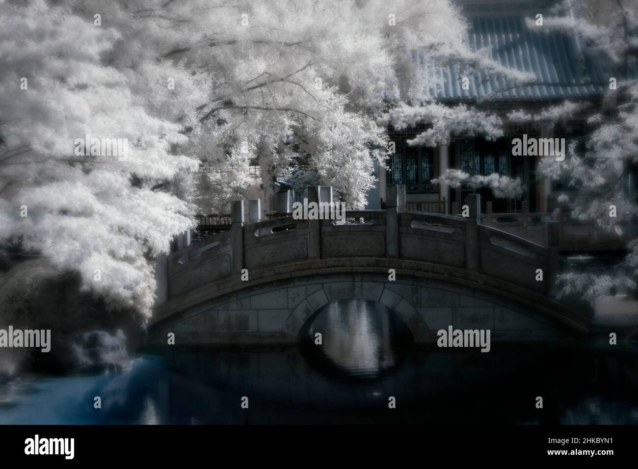 image infrarouge - jardin chinois trois amis de l'hiver - ville de zurich - suisse Banque D'Images