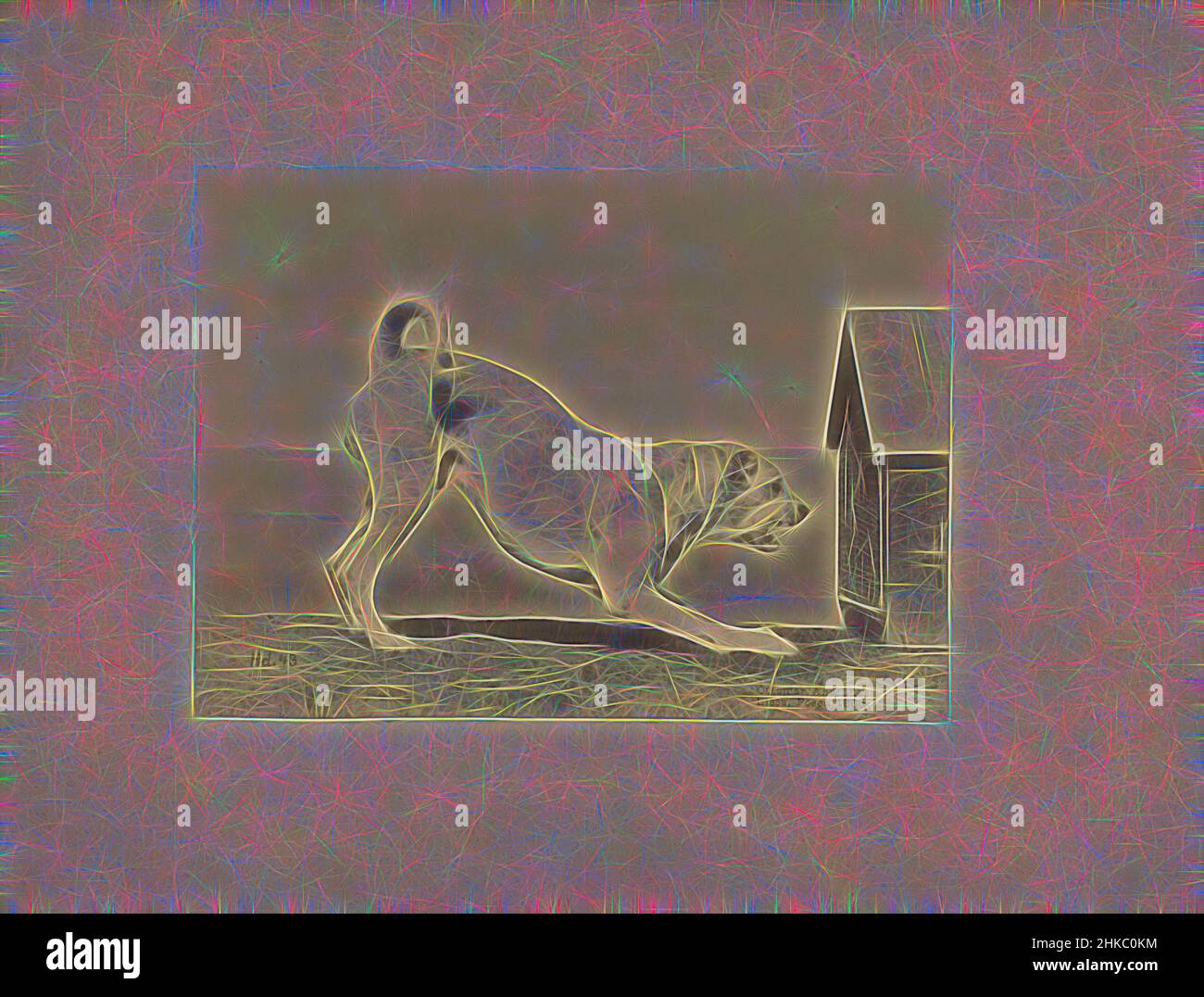 Inspiré par chien dans une position attaquante face à un stylo, Ottomar Anschütz, c. 1886, imprimé albumine, hauteur 147 mm × largeur 202 mm, repensé par Artotop. L'art classique réinventé avec une touche moderne. Conception de lumière chaleureuse et gaie, de luminosité et de rayonnement de lumière. La photographie s'inspire du surréalisme et du futurisme, embrassant l'énergie dynamique de la technologie moderne, du mouvement, de la vitesse et révolutionne la culture Banque D'Images