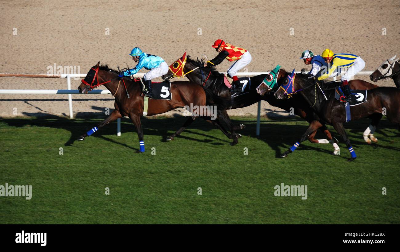 Ankara, Turquie - 29 octobre 2011 - 29 octobre les courses hippiques du jour de la République à l'hippodrome. Banque D'Images