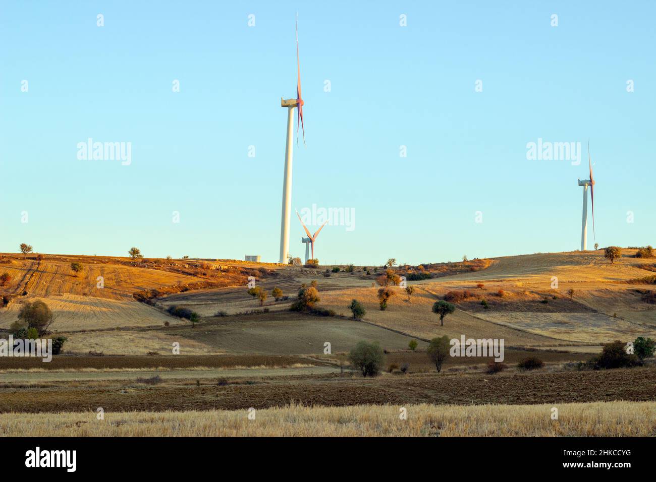 Éoliennes, production d'énergie électrique Banque D'Images