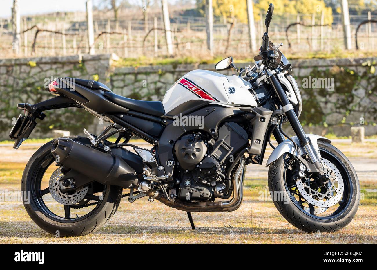 Braga en périphérie, Portugal - 29 janvier 2022: Yamaha FZ-1 de 2014  exposés en plein air.Moto japonaise nue Photo Stock - Alamy