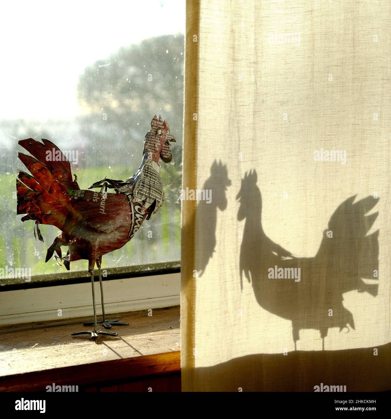 « Conférence des oiseaux », Carrickfergus. Banque D'Images