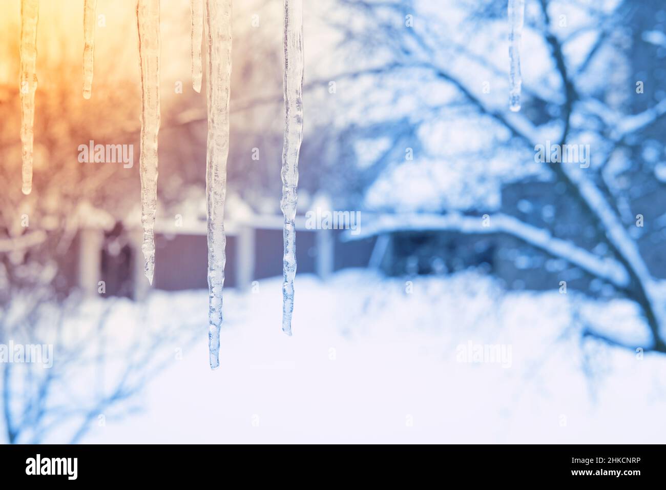 Les glaces fondent sur la lumière du soleil en hiver. Concept de printemps. Banque D'Images