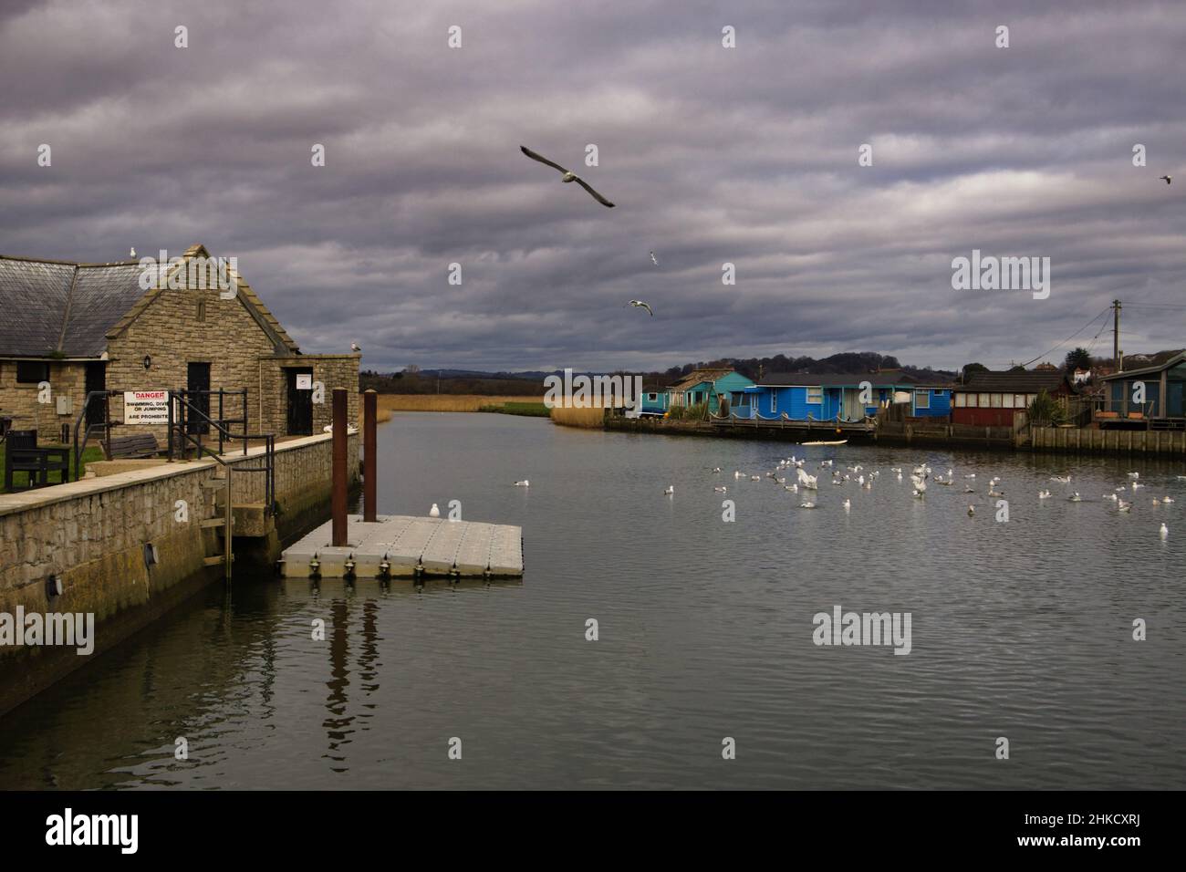 Mouettes sur l'estuaire de la rivière Brit depuis le port de West Bay sur la côte jurassique de Dorsets Banque D'Images