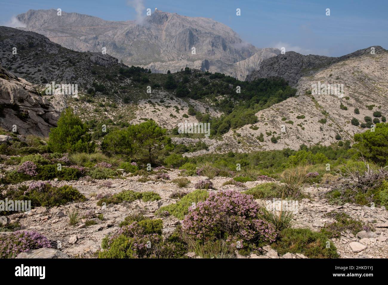 Chaîne de montagnes Tramuntana, Majorque, Iles Baléares, Espagne Banque D'Images