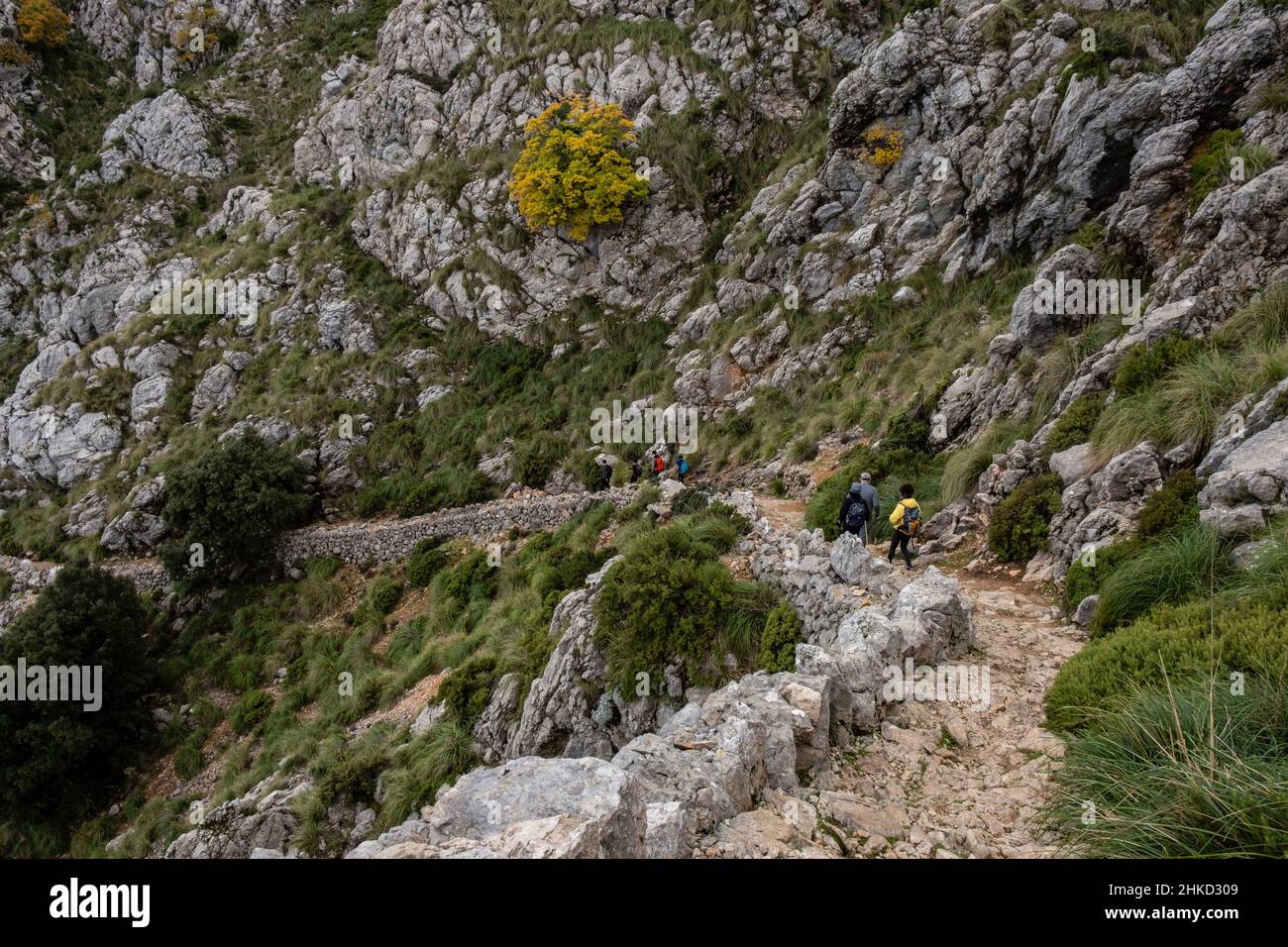 Ses Voltes d'en Galileu, Escorca, Majorque, Iles Baléares, Espagne Banque D'Images