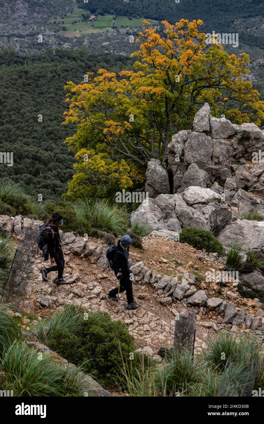 Ses Voltes d'en Galileu, Escorca, Majorque, Iles Baléares, Espagne Banque D'Images