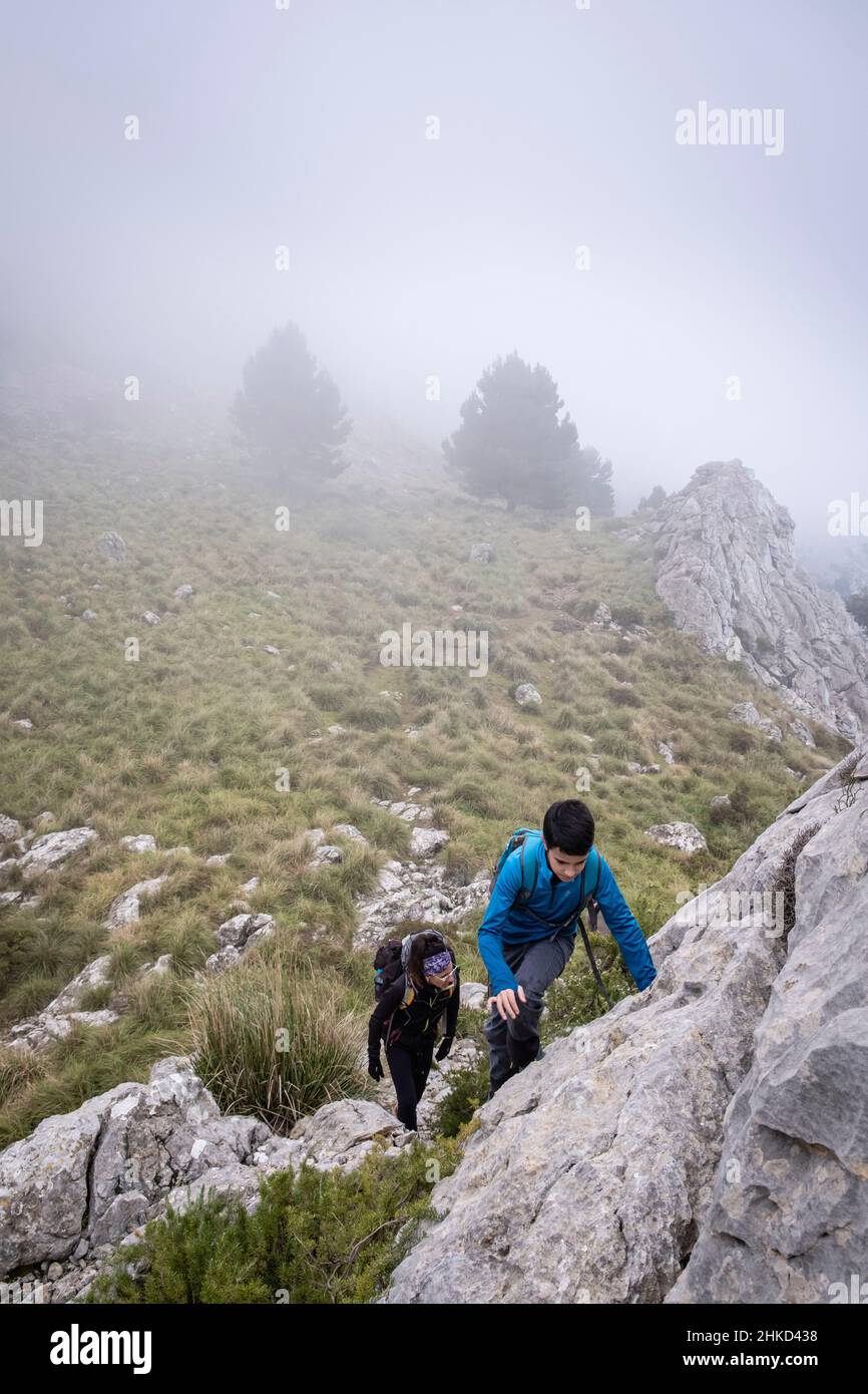En montant l'épi de Xaragal de sa Camarilla, Majorque, Iles Baléares, Espagne Banque D'Images