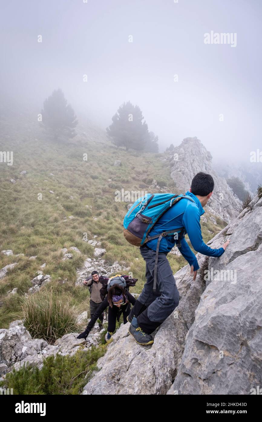 En montant l'épi de Xaragal de sa Camarilla, Majorque, Iles Baléares, Espagne Banque D'Images