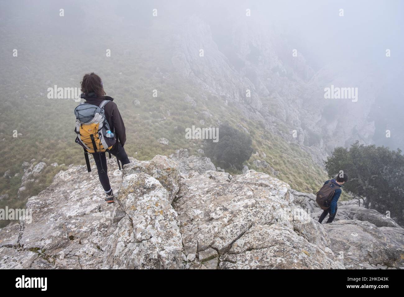 En montant l'épi de Xaragal de sa Camarilla, Majorque, Iles Baléares, Espagne Banque D'Images
