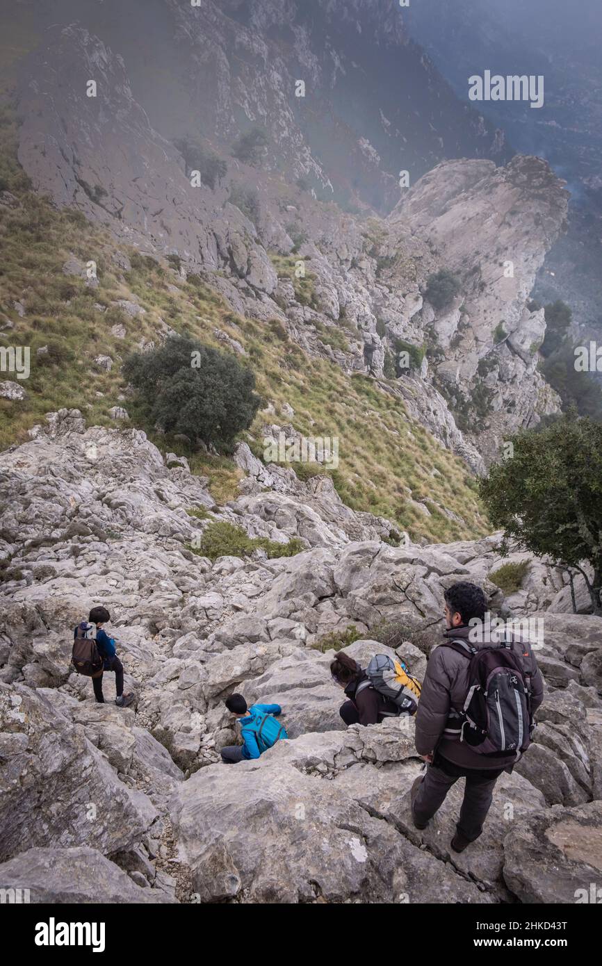 En montant l'épi de Xaragal de sa Camarilla, Majorque, Iles Baléares, Espagne Banque D'Images