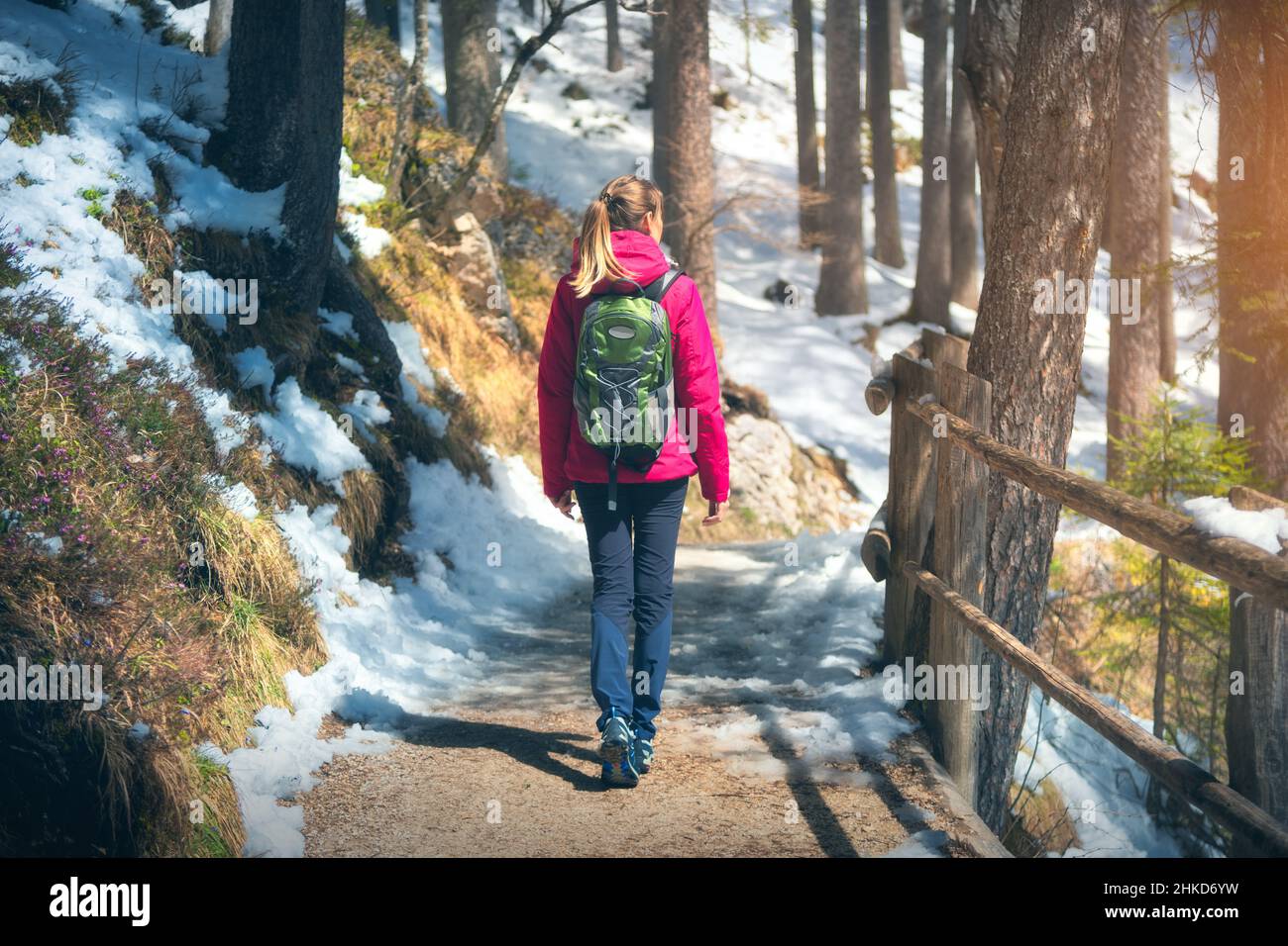 Une jeune femme avec sac à dos marche dans la forêt par beau temps Banque D'Images