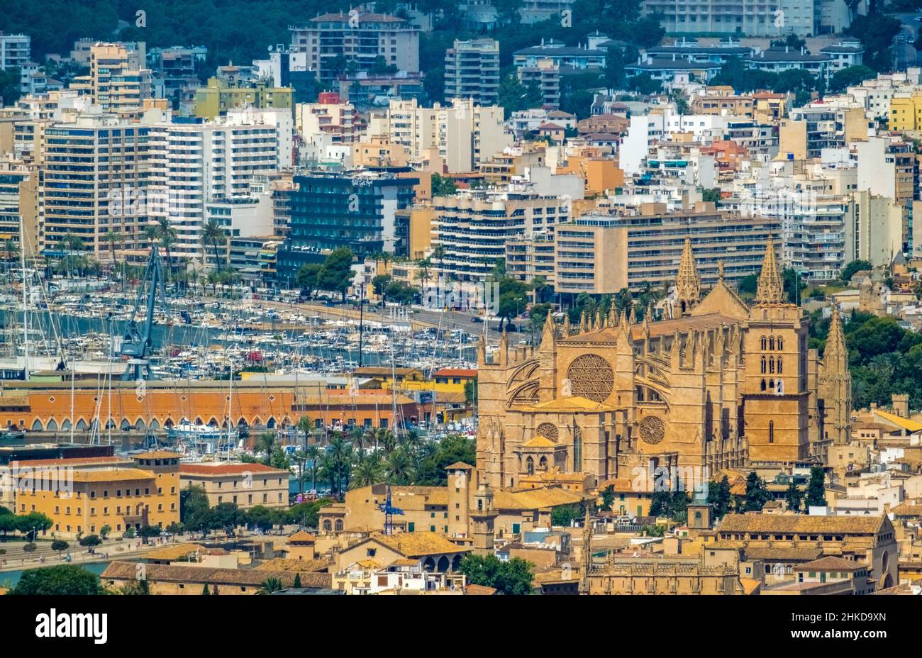 Vue aérienne, Eglise Santa Iglesia Catedral de Mallorca, Cathédrale de Palma, Puerto de Palma, Port de Palma en arrière-plan, Palma, Majorque, Baléares est Banque D'Images