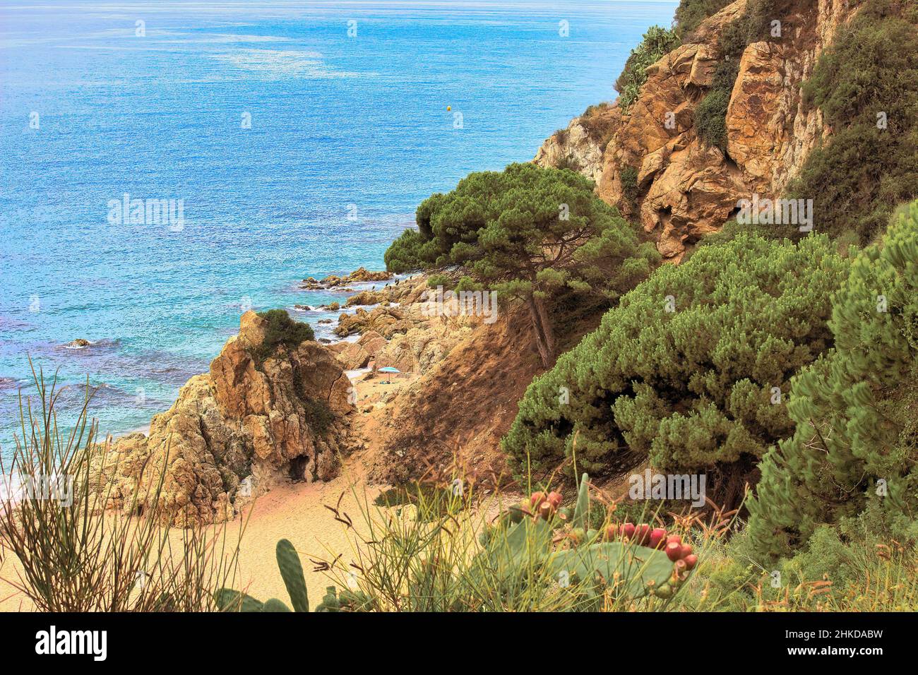 Les belles plages avec les célèbres criques de la ville touristique de Calella, une célèbre station balnéaire sur la Costa Brava en Espagne. Banque D'Images