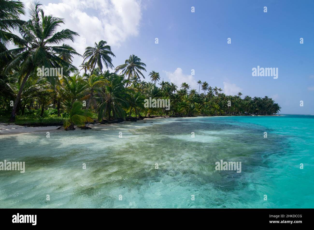 Plage de palmiers intacte à Chichime Island (San Blas) Banque D'Images