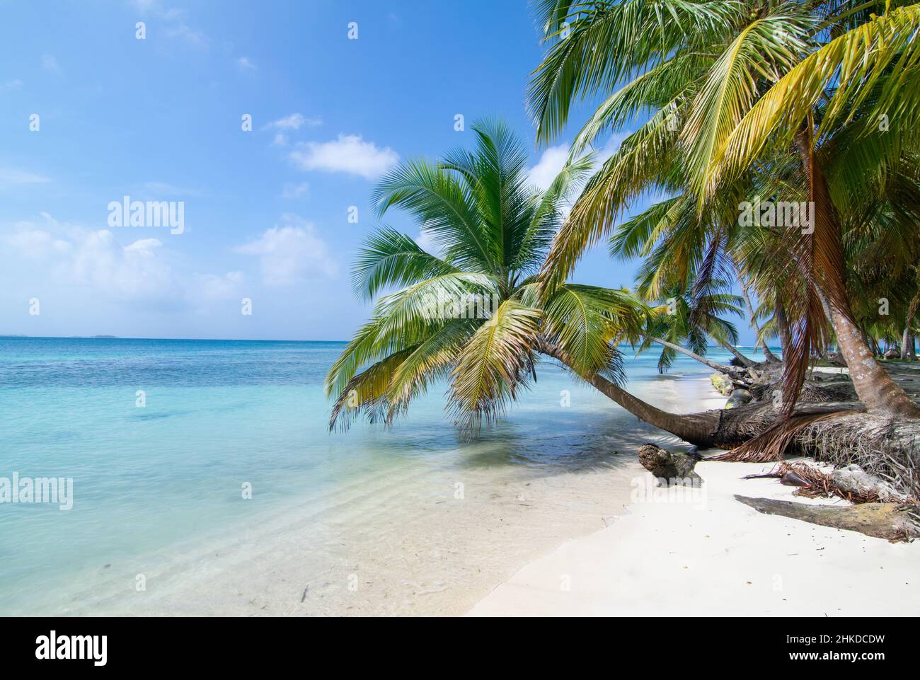 Plage de palmiers intacte à Chichime Island (San Blas) Banque D'Images