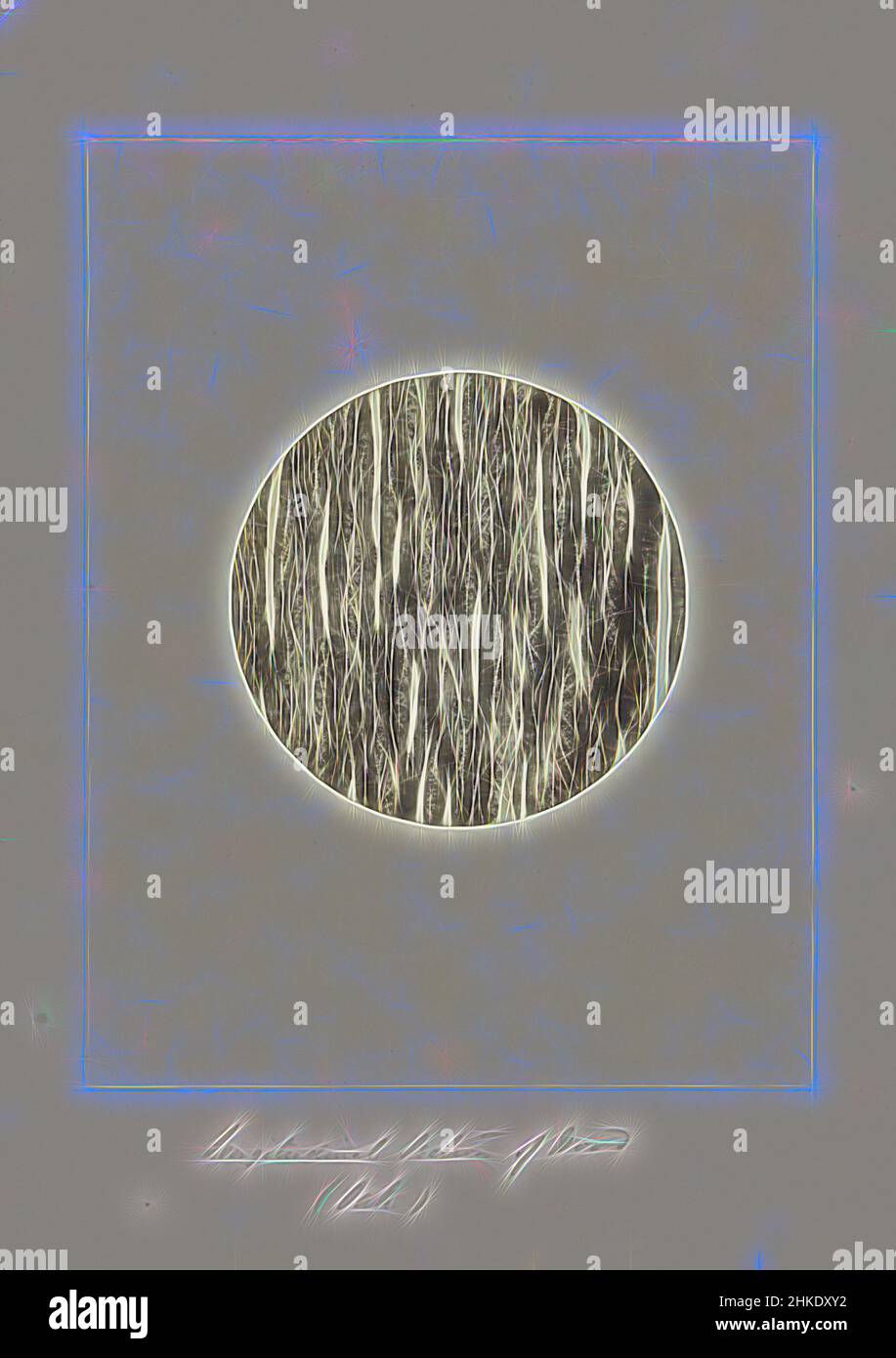 Inspiré par l'image microscopique d'une coupe transversale de bois de chêne, section longitudinale de bois (chêne), Arthur Edward Durham, Angleterre, c. 1863 - c. 1870, papier, imprimé albumine, hauteur 337 mm × largeur 252 mm, réimaginé par Artotop. L'art classique réinventé avec une touche moderne. Conception de lumière chaleureuse et gaie, de luminosité et de rayonnement de lumière. La photographie s'inspire du surréalisme et du futurisme, embrassant l'énergie dynamique de la technologie moderne, du mouvement, de la vitesse et révolutionne la culture Banque D'Images