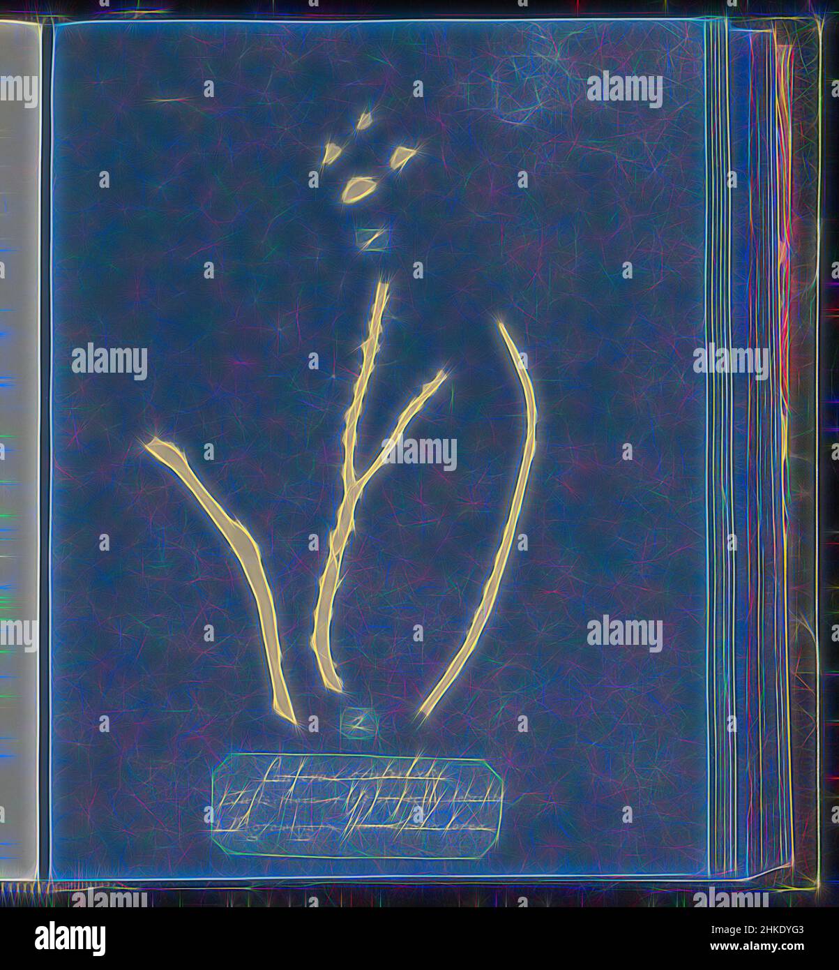Inspiré par la Conferva scutulata, 1. Touffes plus ou moins parfaitement détachées, 2. D[itt]o croissant sur Himanthalia Lorea, Anna Atkins, Royaume-Uni, c. 1843 - c. 1853, cyanotype, hauteur 250 mm × largeur 200 mm, réimaginé par Artotop. L'art classique réinventé avec une touche moderne. Conception de lumière chaleureuse et gaie, de luminosité et de rayonnement de lumière. La photographie s'inspire du surréalisme et du futurisme, embrassant l'énergie dynamique de la technologie moderne, du mouvement, de la vitesse et révolutionne la culture Banque D'Images