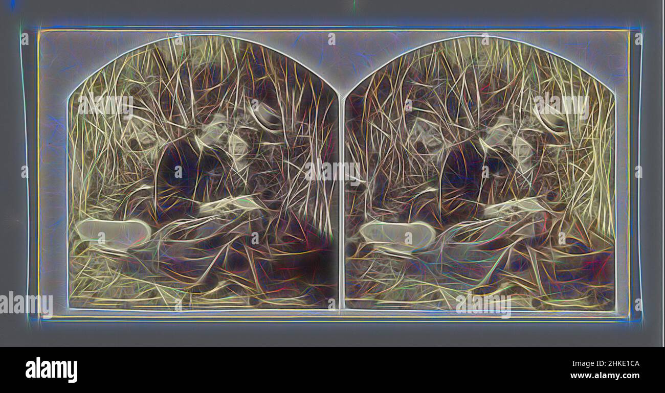Inspiré par un couple assis dans un champ, Paris, c. 1860, imprimé albumine, hauteur 85 mm × largeur 170 mm, repensé par Artotop. L'art classique réinventé avec une touche moderne. Conception de lumière chaleureuse et gaie, de luminosité et de rayonnement de lumière. La photographie s'inspire du surréalisme et du futurisme, embrassant l'énergie dynamique de la technologie moderne, du mouvement, de la vitesse et révolutionne la culture Banque D'Images