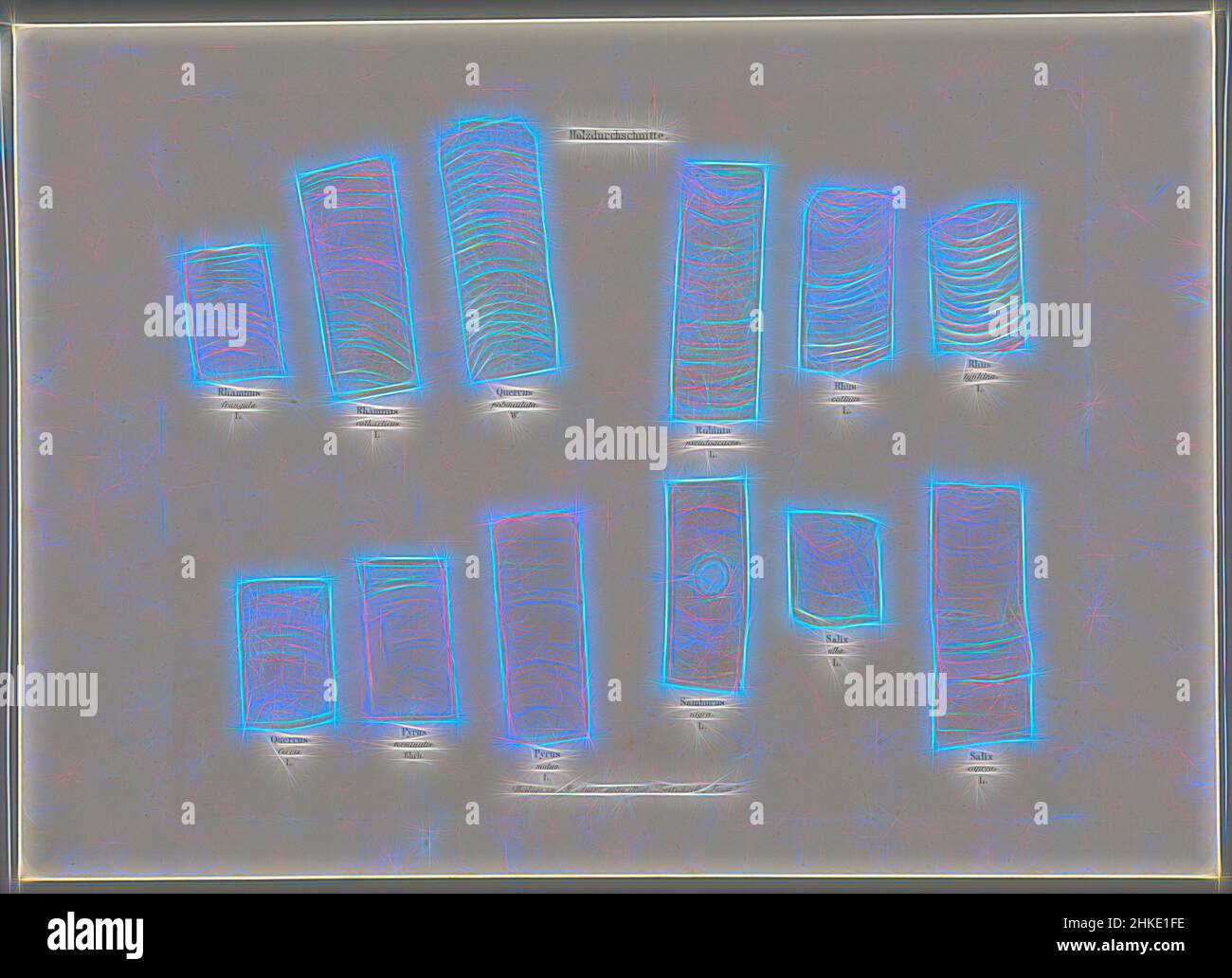 Inspiré par les coupes transversales de douze types de bois, feuille de la série de 12 Naturselbstdrucke Auer., fabricant: Alois Auer, Vienne, 1855, papier, Hauteur 247 mm × largeur 344 mm, repensé par Artotop. L'art classique réinventé avec une touche moderne. Conception de lumière chaleureuse et gaie, de luminosité et de rayonnement de lumière. La photographie s'inspire du surréalisme et du futurisme, embrassant l'énergie dynamique de la technologie moderne, du mouvement, de la vitesse et révolutionne la culture Banque D'Images