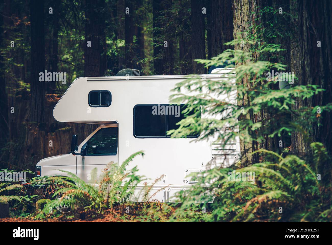 Lit superposé moderne classe C Camping camping-car Camping camping-car en camping-car dans la forêt de séquoias du nord de la Californie, États-Unis d'Amérique Banque D'Images