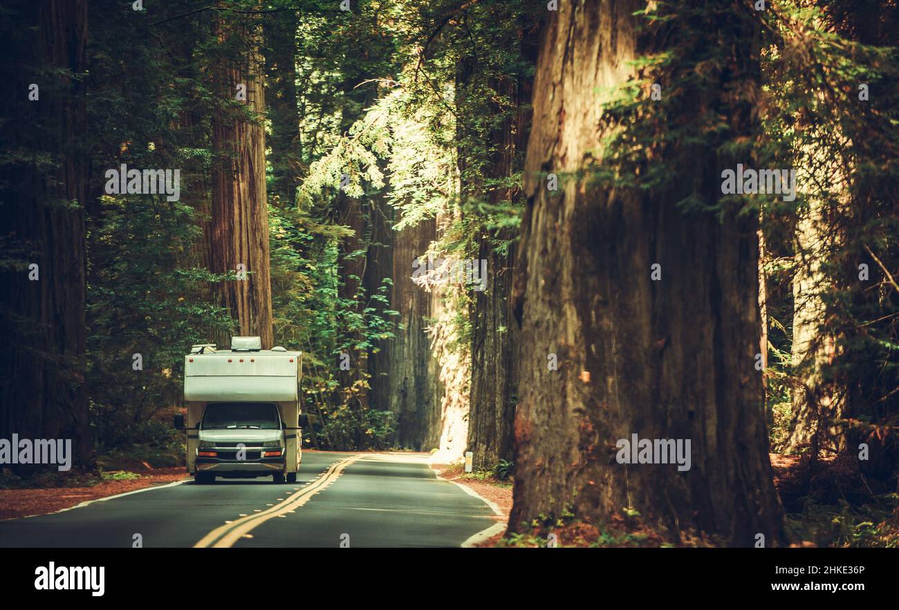 Pittoresque région des séquoias de Californie du Nord Camping camping-car.Fourgonnette de classe C sur l'autoroute des géants le long de l'autoroute 101, Californie, Unit Banque D'Images