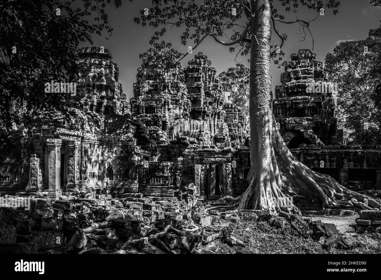 Les arbres prennent la relève d'une partie des immenses ruines d'Angkor près de Siem Reap au Cambodge Banque D'Images
