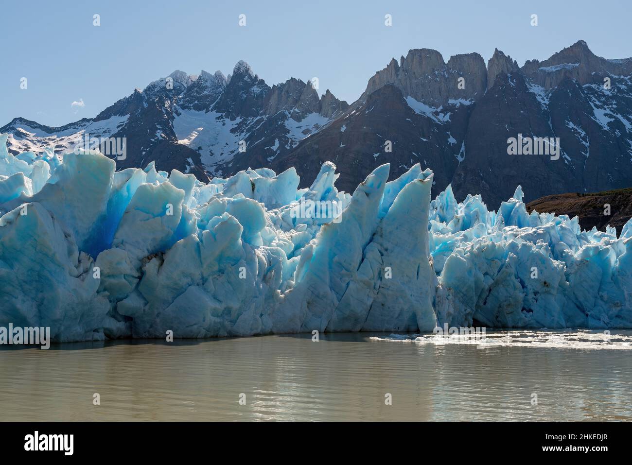 Glacier Gray par le lac Grey au printemps avec les sommets des Andes, parc national Torres del Paine, Patagonie, Chili. Banque D'Images