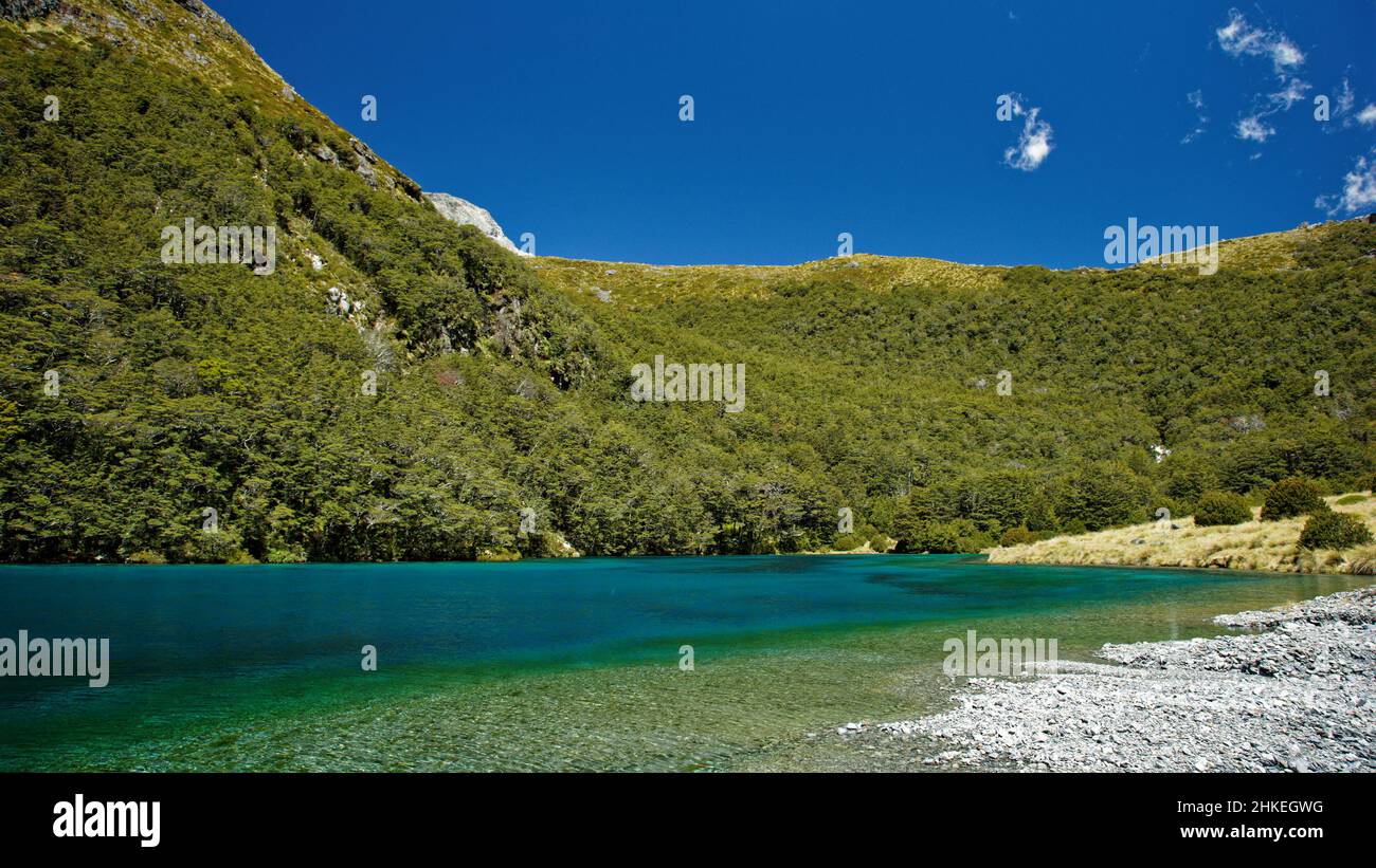 Lac bleu, parc national des lacs Nelson, île du sud, Aotearoa / Nouvelle-Zélande Banque D'Images