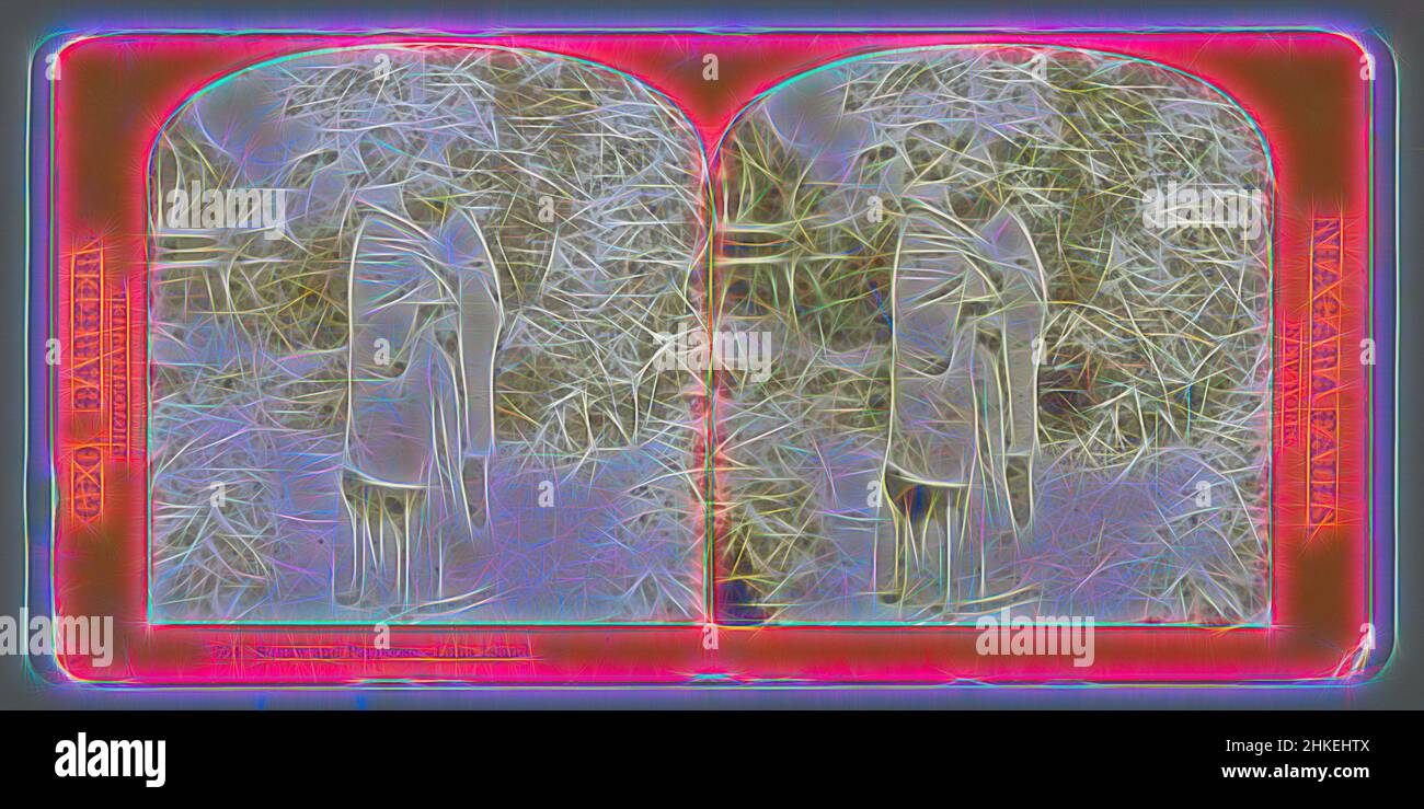 Inspiré par une femme amérindienne avec enfant sur Luna Island, près des chutes Niagara, Squaw et Pappoose - Luna Island, Niagara Falls, New York, George Barker, Luna Island, 1863 - 1894, papier, imprimé albumine, hauteur 87 mm × largeur 176 mm, réimaginé par Artotop. L'art classique réinventé avec une touche moderne. Conception de lumière chaleureuse et gaie, de luminosité et de rayonnement de lumière. La photographie s'inspire du surréalisme et du futurisme, embrassant l'énergie dynamique de la technologie moderne, du mouvement, de la vitesse et révolutionne la culture Banque D'Images