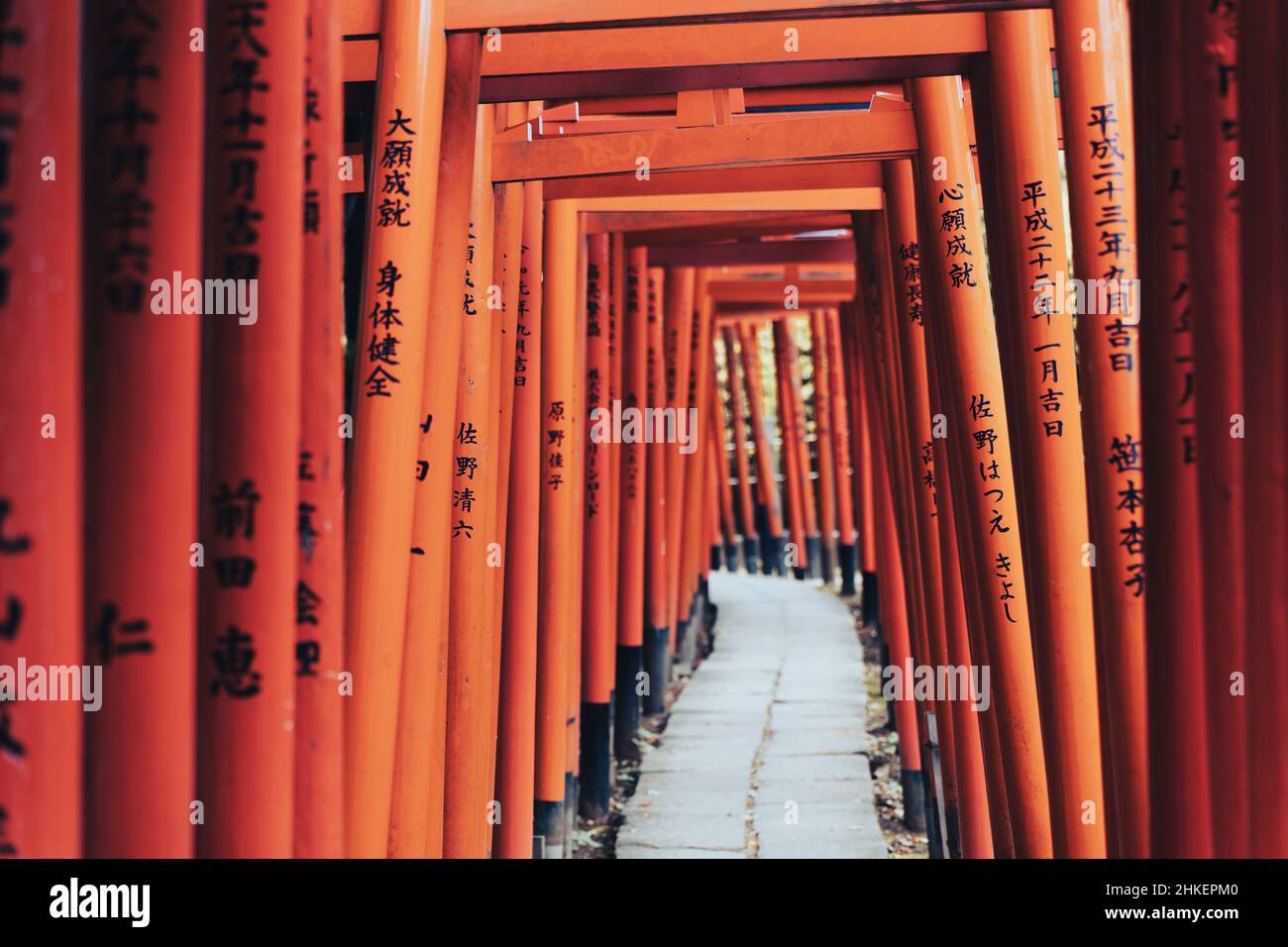Ligne de portes torii rouges à Tokyo, Japon. Banque D'Images