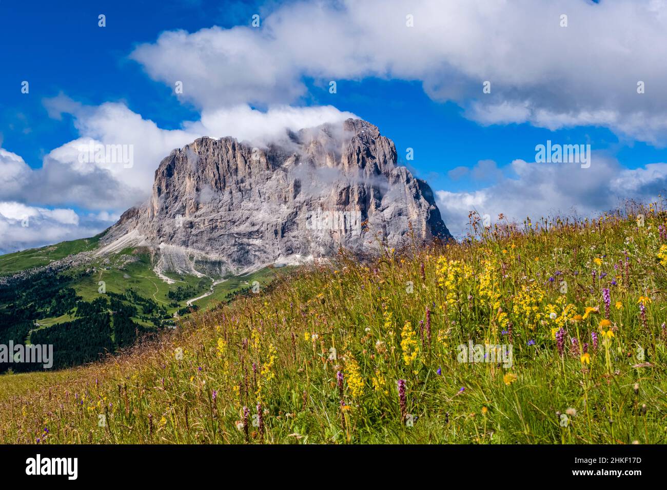 La face est de Saslonch, Sassolungo ou Langkofel, vue depuis le col de Gardena. Banque D'Images