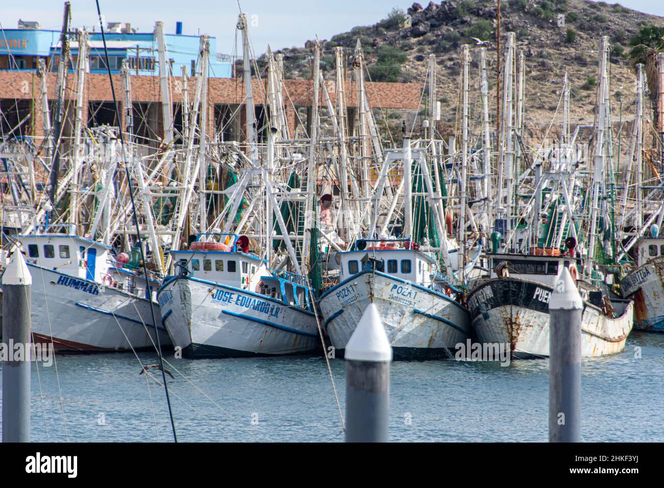 Une rangée de bateaux ancrés à Puerto Penasco, Basse-Californie, Mexique. Banque D'Images