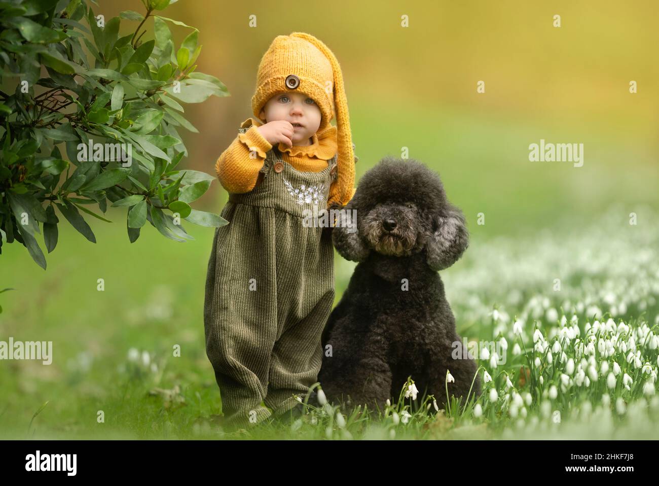 En février, les petites filles avec un chien noir qui porte des vêtements décontractés debout à l'extérieur dans les chutes de neige Banque D'Images