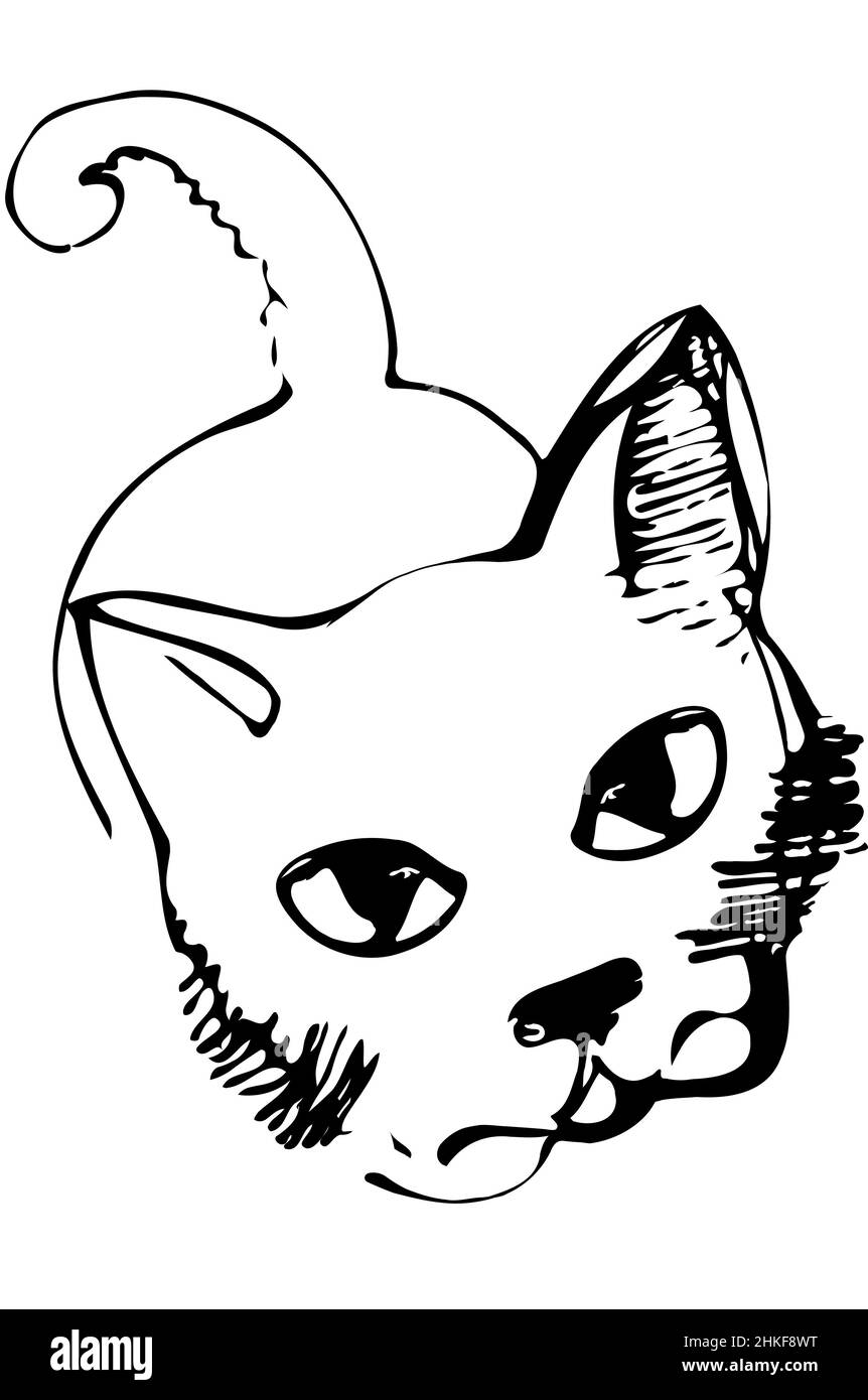 dessin vectoriel noir et blanc d'un chat regardant dans les yeux Banque D'Images