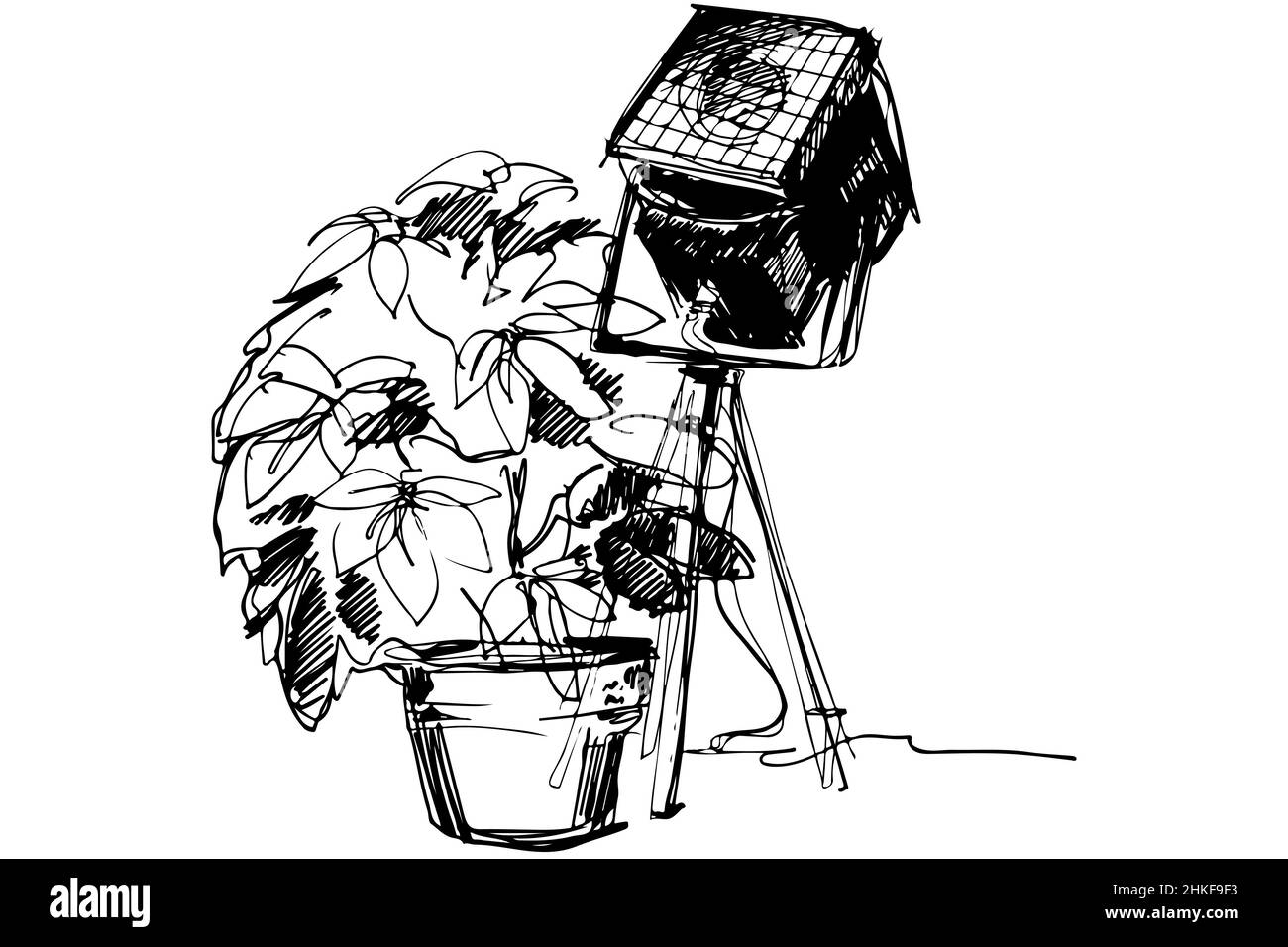 dessin vectoriel noir et blanc de la fleur intérieure dans un pot près du projecteur de théâtre Banque D'Images