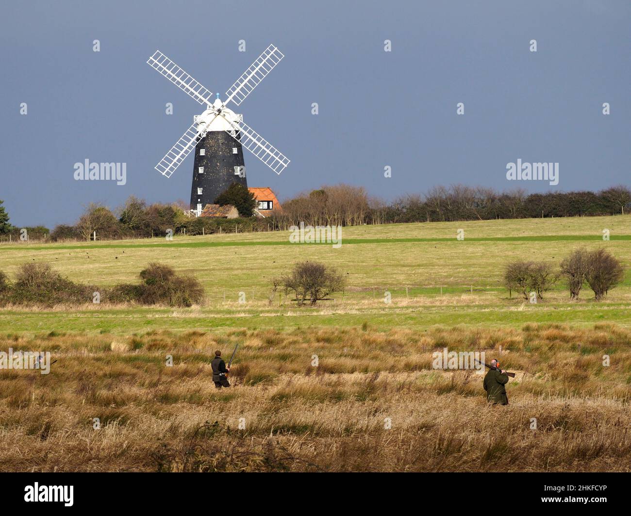 Wildfowling dans un marais de Norfolk.Burnham Overy Staithe Windmill en arrière-plan Banque D'Images
