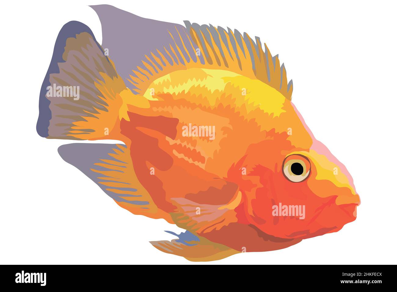 Une image vectorielle Parrot de poissons d'aquarium d'Orange Banque D'Images