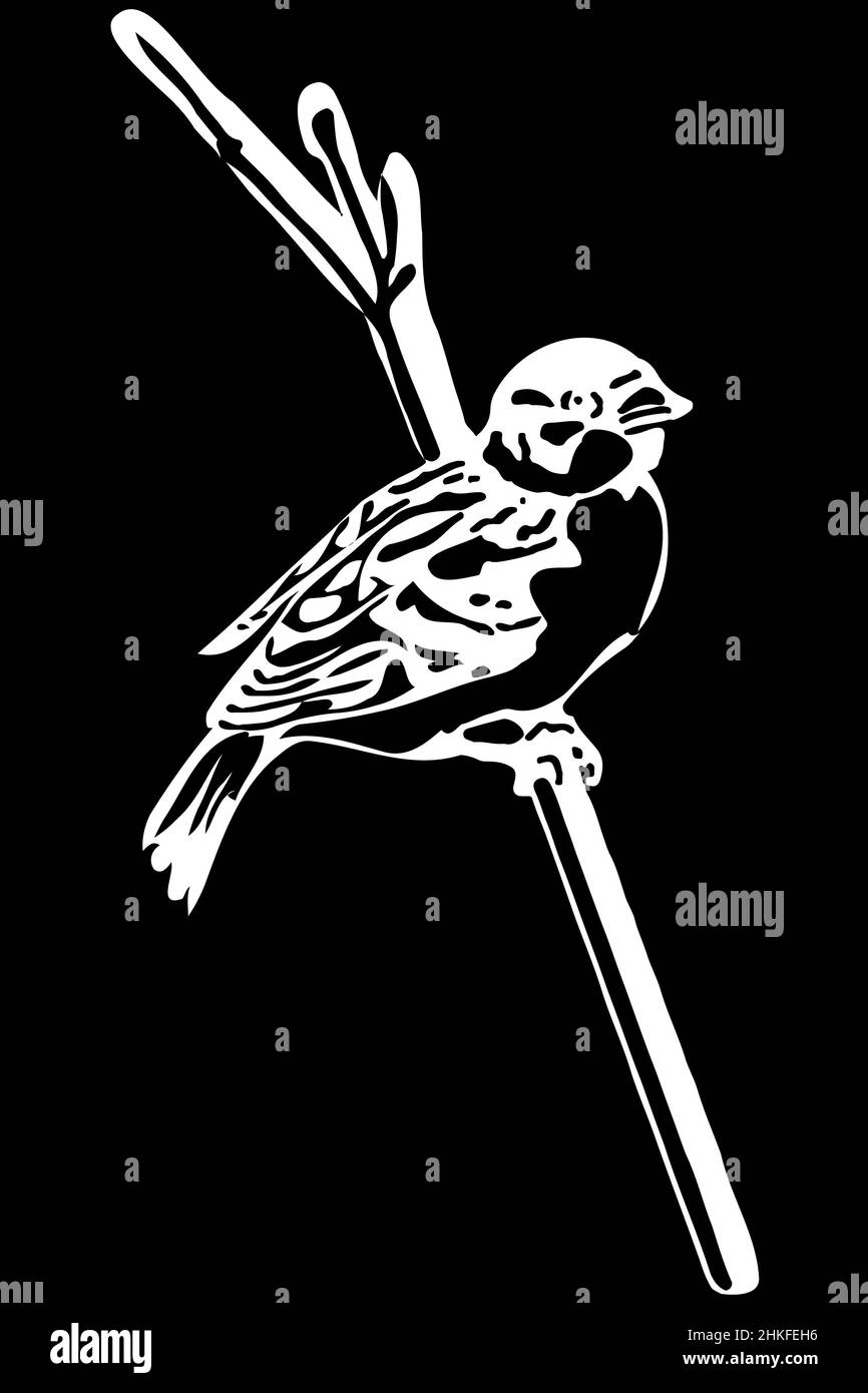 dessin vectoriel noir et blanc d'un petit oiseau sur un front de branche Banque D'Images