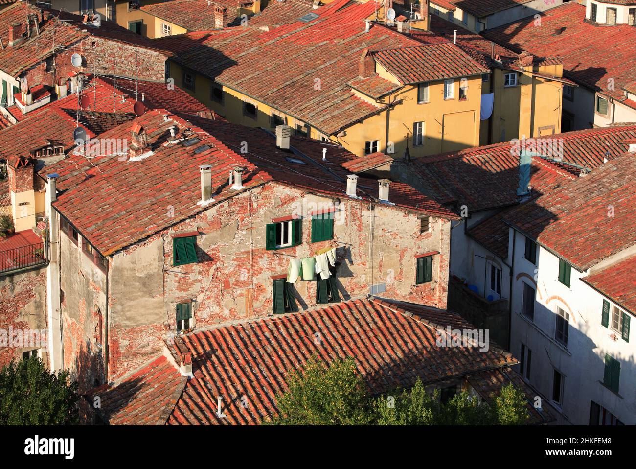 Regardez la vieille ville de Lucques de la tour du Palazzo Guinigi, Toscane, Italie Banque D'Images