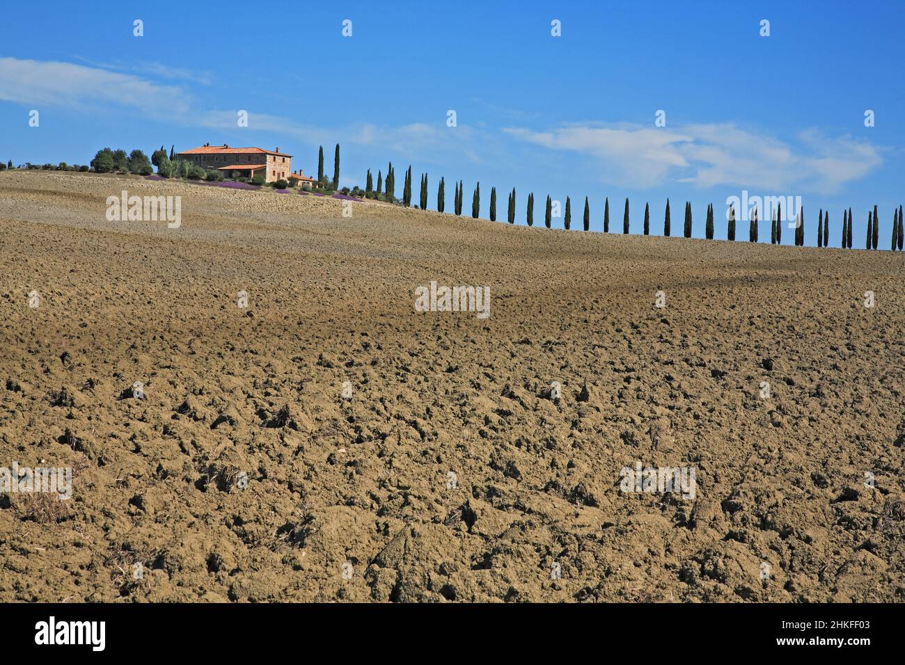 Ferme avec San Quirico d'Orcia, automne, Crète, Toscane, Italie / ferme près de San Quirico d'Orcia, Crète, Toscane, Italie Banque D'Images