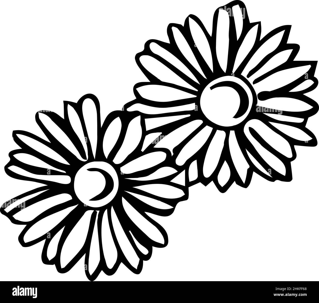 dessin vectoriel noir et blanc d'une camomille de fleur sauvage de champ Banque D'Images