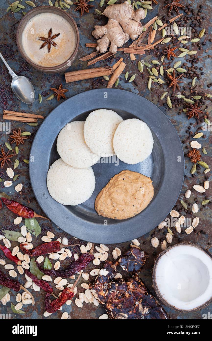 Idli maison, chutney épicé aux arachides et à la noix de coco avec une tasse de chai et des épices Banque D'Images