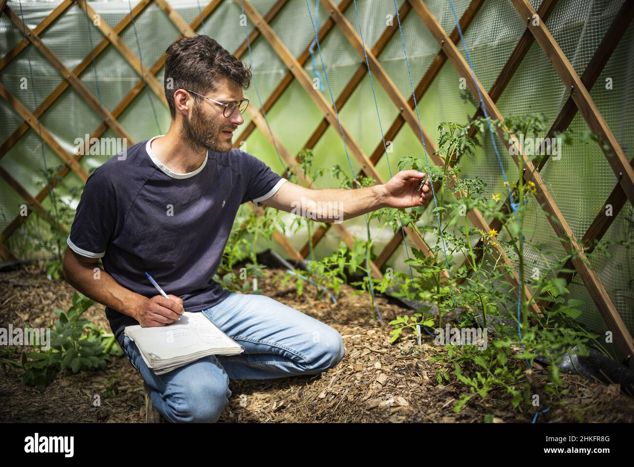 France, Isère, Mens, Trieves, Terre Vivante,centre écologique pratique, jardin, édition, presse.Josselin - journaliste, chef de la section habitat - société Banque D'Images