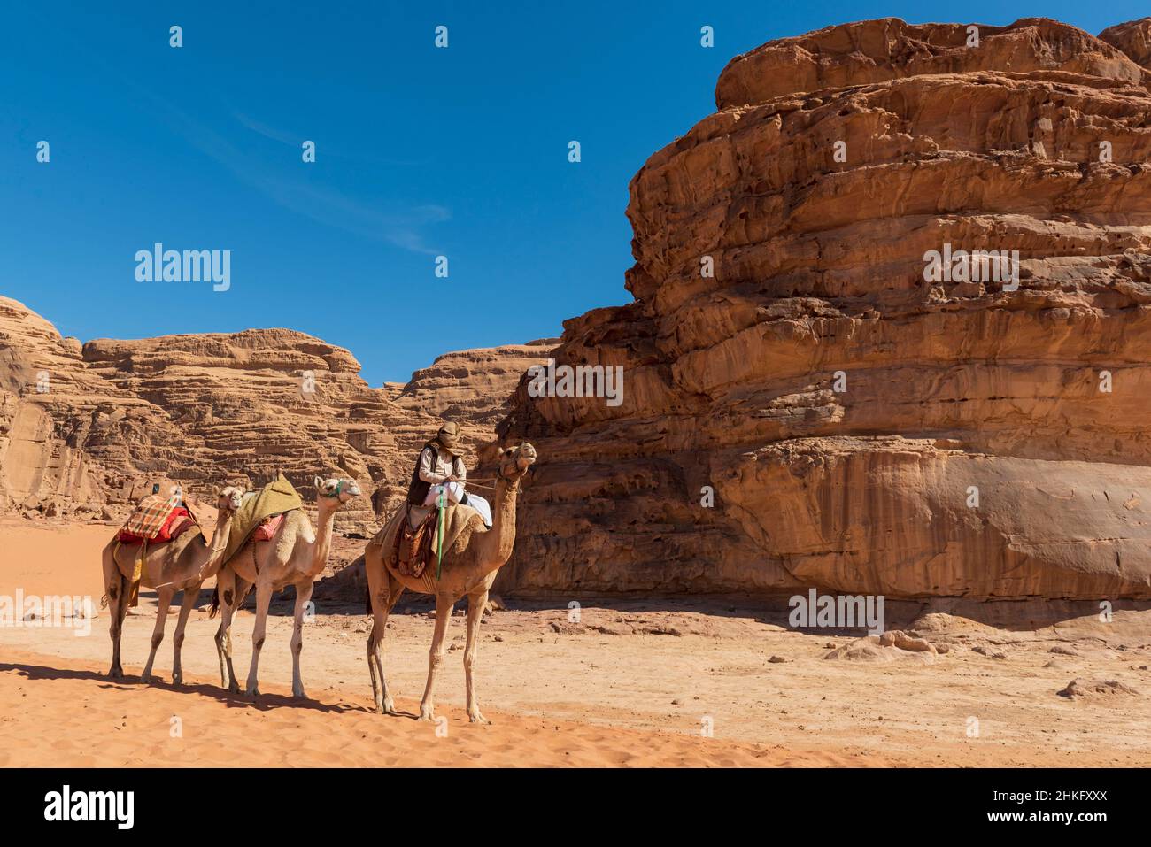 Jordanie, Aqaba Governorat, Wadi Rum, classé au patrimoine mondial de l'UNESCO, désert, montagnes, bedoin et ses chameaux Banque D'Images