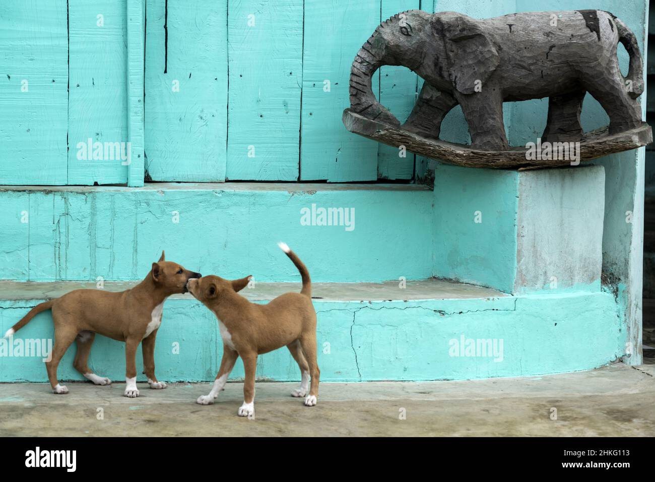 Bénin, Cotonou, ville flottante de Ganvie Banque D'Images
