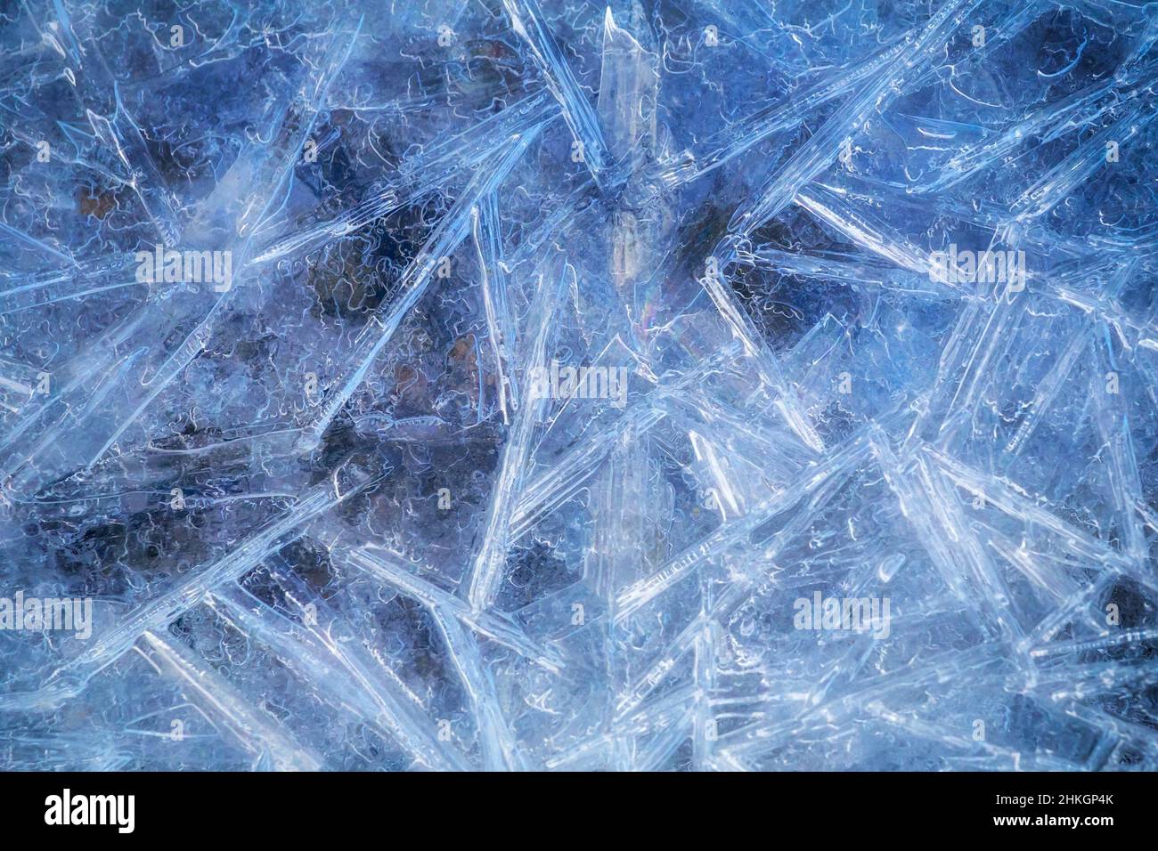 Arrière-plan translucide à la texture de glace. Banque D'Images