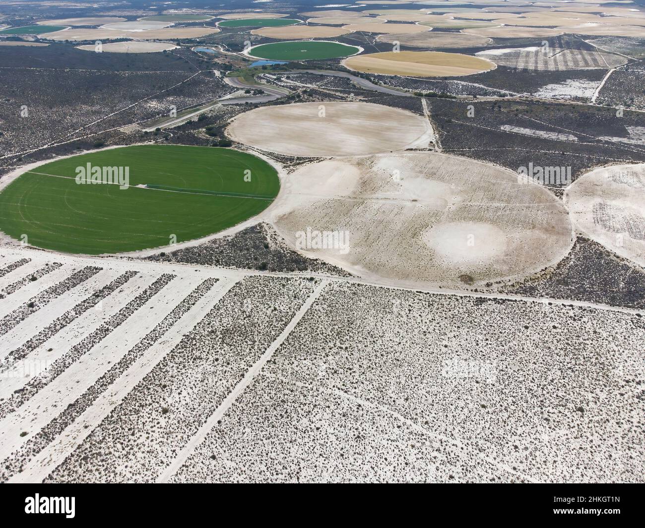 Irrigation pivot, Afrique du Sud Banque D'Images