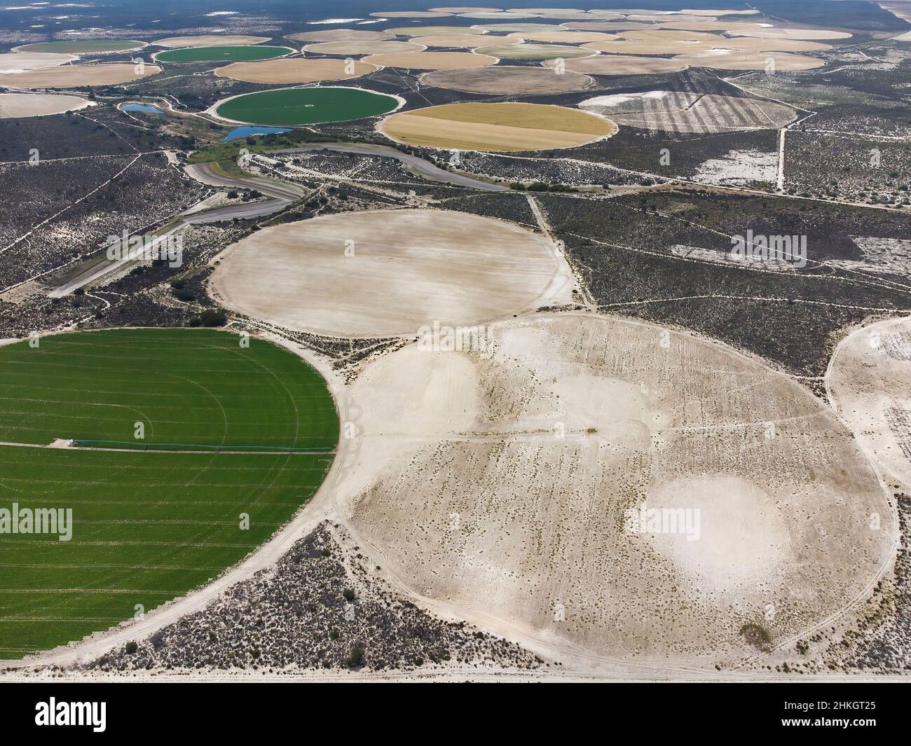 Irrigation pivot, Afrique du Sud Banque D'Images